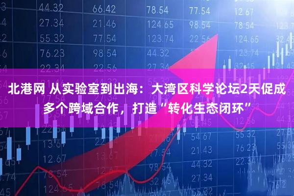 北港网 从实验室到出海：大湾区科学论坛2天促成多个跨域合作，打造“转化生态闭环”