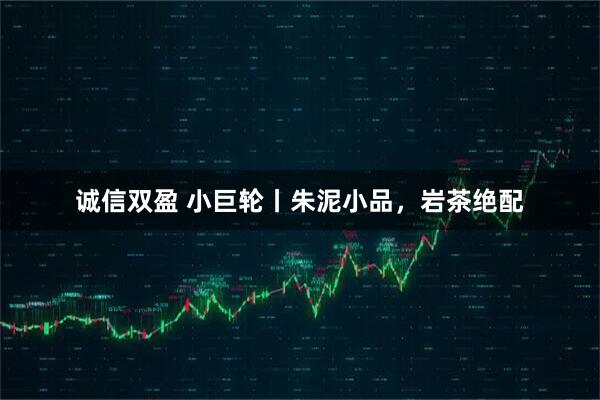 诚信双盈 小巨轮丨朱泥小品，岩茶绝配